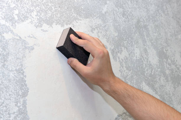 Best Mold Remediation for Healthcare Facilities  in Vevay, IN