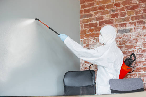 Best Mold Odor Removal Services  in Vevay, IN