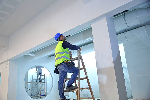 Best Environmental Consulting for Mold Prevention  in Vevay, IN