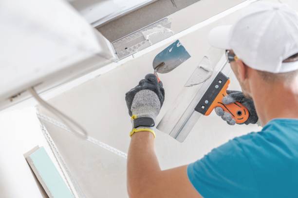 Forensic Mold Investigation in Vevay, IN